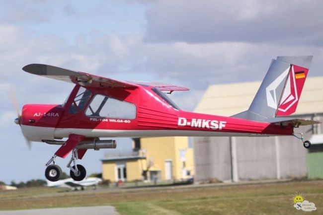Wilga 20cc - 79" - Skysun-Hobby