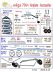 Wilga 20cc - 79" - Skysun-Hobby